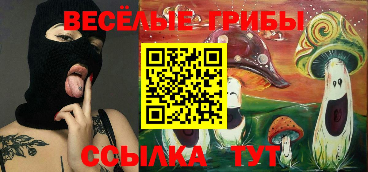 Псилоцибиновые грибы Psilocybe Дивногорск