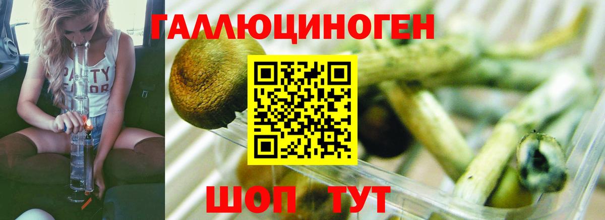 Дивногорск  где найти наркотики  Вход с VPN  Галлюциногенные грибы MAGIC MUSHROOMS 